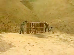 japanese  Mature srave