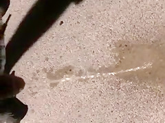 Pissing in the street