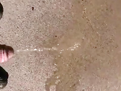 Pissing in the street