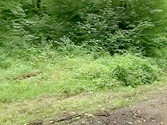Une salope se fait enculer devant des promeneurs en forêt