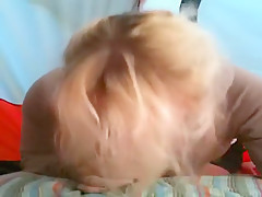 Amateur Wifey Blowjob and cum