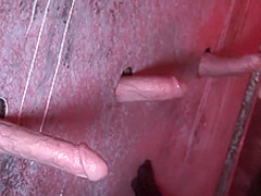 Little Aliz is fucking all the dicks