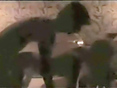 Private Teacher (1983)