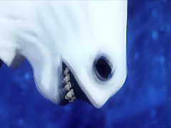 The pony was just the beginning