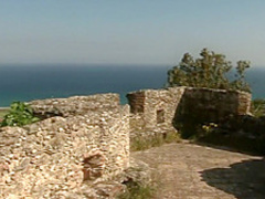 Two naked chicks on the wall