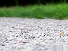 Beautiful bathtime babes in closeup ffm