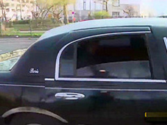 Rich boy fucks a German babe in the car