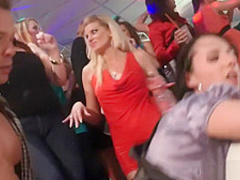 Party girls in stockings are naturals at sucking dick