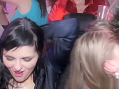 Party girls in stockings are naturals at sucking dick