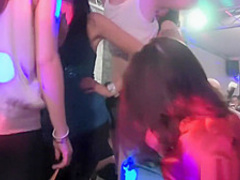 Party girls in stockings are naturals at sucking dick