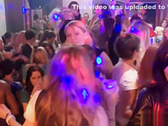 Party girls in stockings are naturals at sucking dick