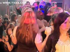 Party girls in stockings are naturals at sucking dick