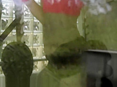 Teen Jillian Janson Analed at the Gym