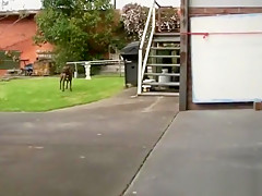 Abducted lesbian gets licked on the car