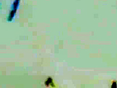 DevilsFilm Abella Danger Lesbian Gangbanged!