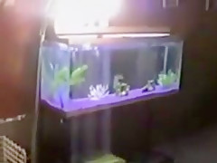 Large areoles IR wife