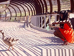 PORNFIDELITY Gorgeous Ebony Goddess Ana Foxxx Creampied Panties