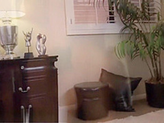 PORNFIDELITY - Big Tit MILFs Sara Jay and Kelly Make Ryan Cum Three Times