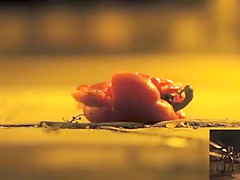 POV crushing of capsicum in shiny Doc Martens combat boots