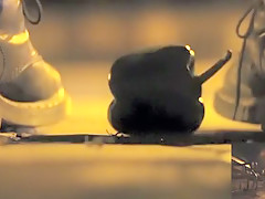 POV crushing of capsicum in shiny Doc Martens combat boots