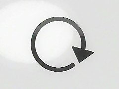 Sharon Mitchell Chronological Mugshots