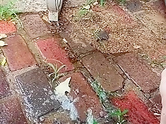 pee on patio