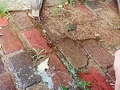 pee on patio