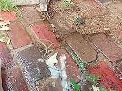 pee on patio