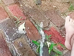 pee on patio
