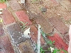 pee on patio