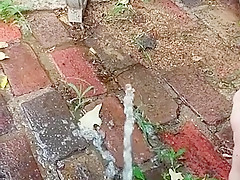 pee on patio