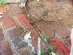 pee on patio