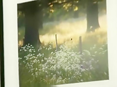 Injured grandma gets healed by stranger