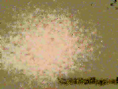 MYSLUTWIFEGOESBLACK slutty wife in white dress and red high heels for bbc