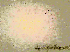 MYSLUTWIFEGOESBLACK slutty wife in white dress and red high heels for bbc