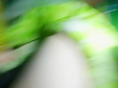 home pussy Masturbation 25