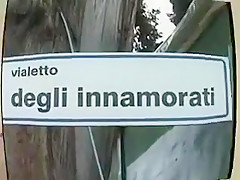 Allumeuse italienne aux gros nibards enculée sauvagement