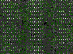 Nice school girl have fun with neighbour-amateur