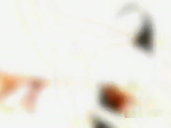 LegalPorno Trailer - Nicole Black lesson number 8, 10on1 DAP Gangbang