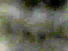 Becky Blowing Me Right Outside