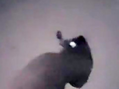 Aisha 210 hoe tag teamed wit homie