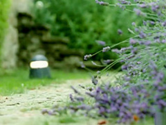 Alexis Crystal and Silvie Luca - The Circle