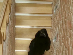 Alexis Crystal and Silvie Luca - The Circle