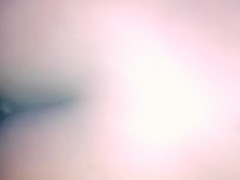Il la baise a cheval dans sa chambre