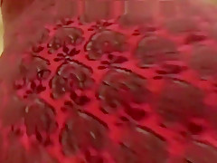 La plus belle soirée de sa vie va se passer dans une chatte rousse