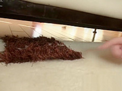 Chantell and Chayse Double Blowjob