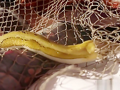 Hunter Nicole Aniston Captures A Minotaur And Milks His