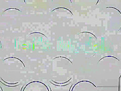 4 plumpers get fucked