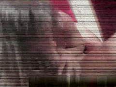 Professional amsterdam hooker