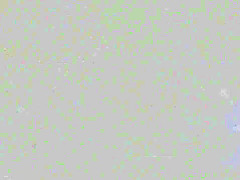 Girlfriend Gives Loving Massage To Lover